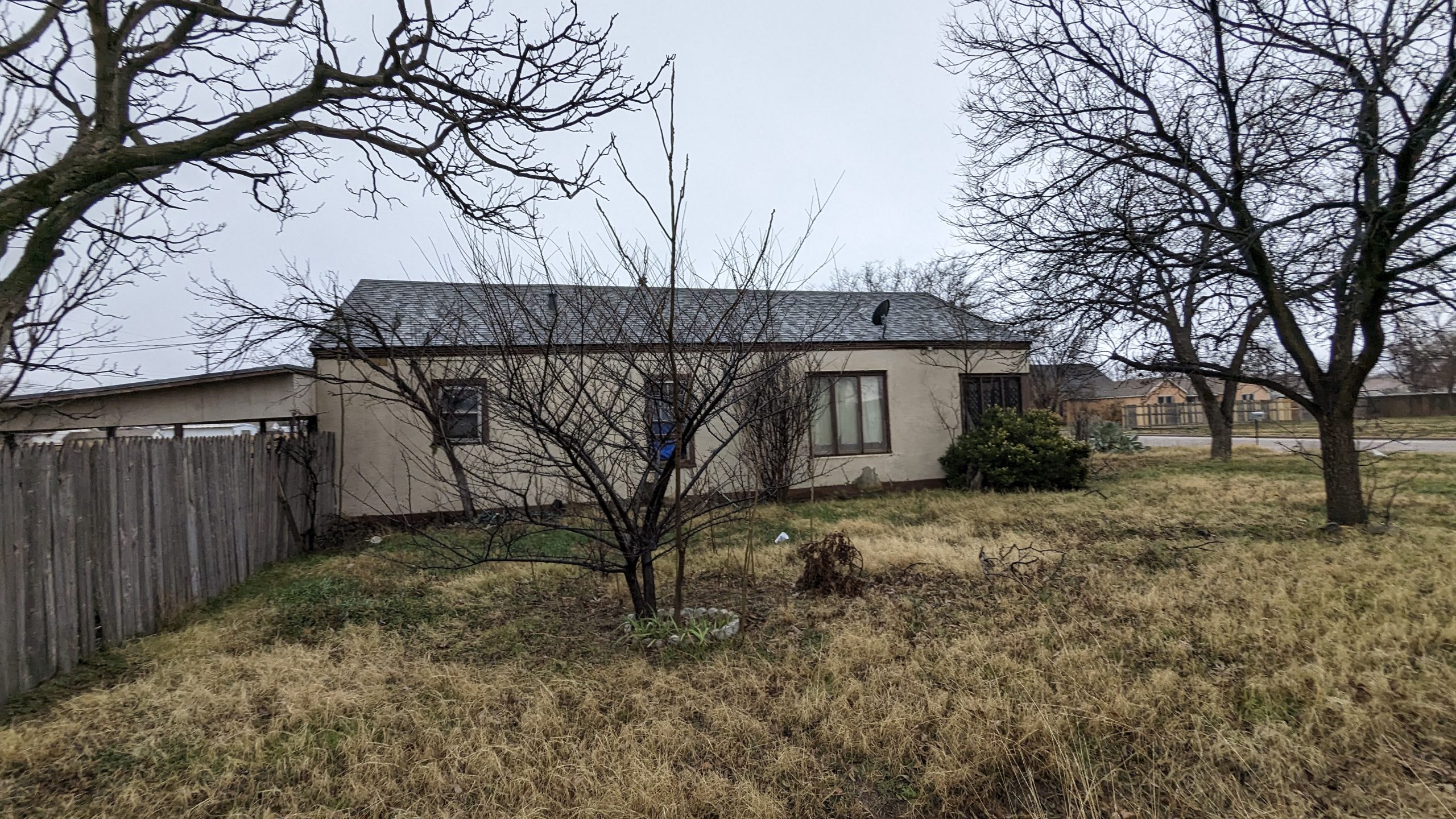 PXL_20240123_201300954